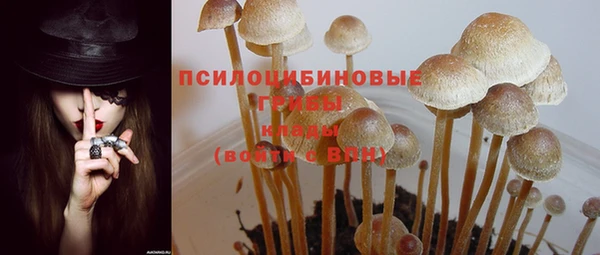 COCAINE Богородицк