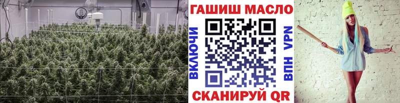 ссылка на мегу маркетплейс  Нерехта  ТГК концентрат 
