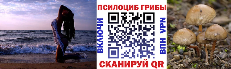 Псилоцибиновые грибы мухоморы  Нерехта 